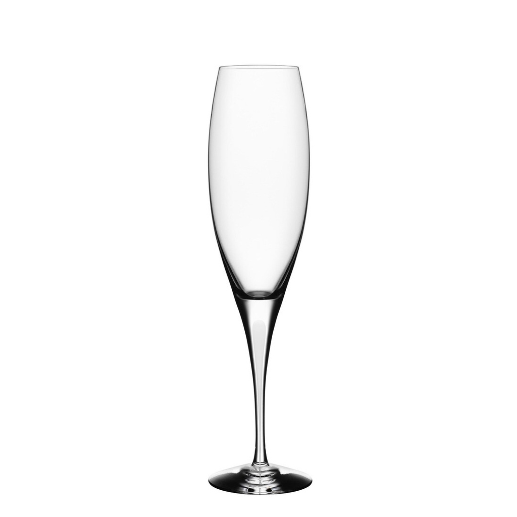 INTERMEZZO - SATIN COPA CHAMPAGNE 6577414, ORREFORS