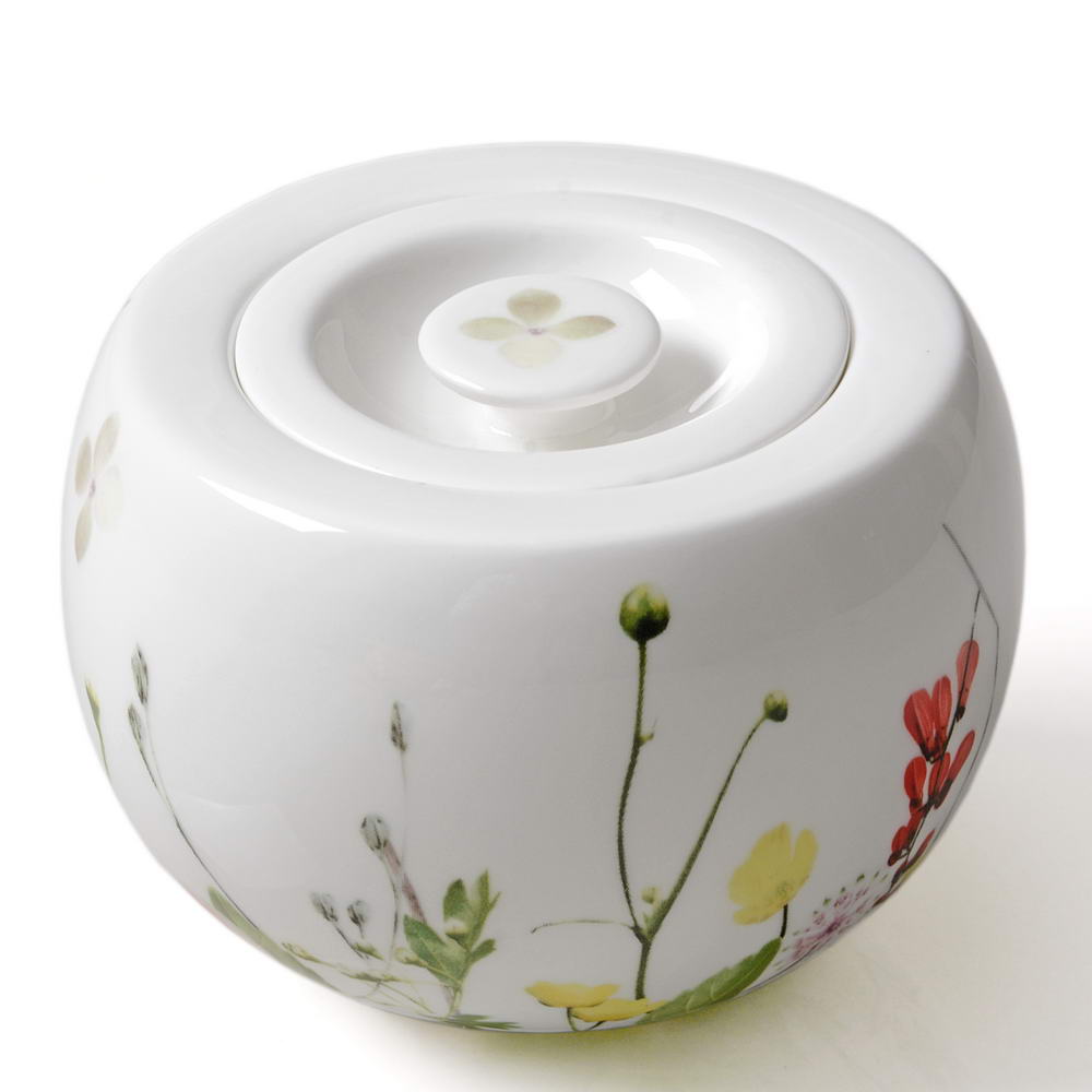 FLEUR SAUVAGES - AZUCARERA 14330, ROSENTHAL