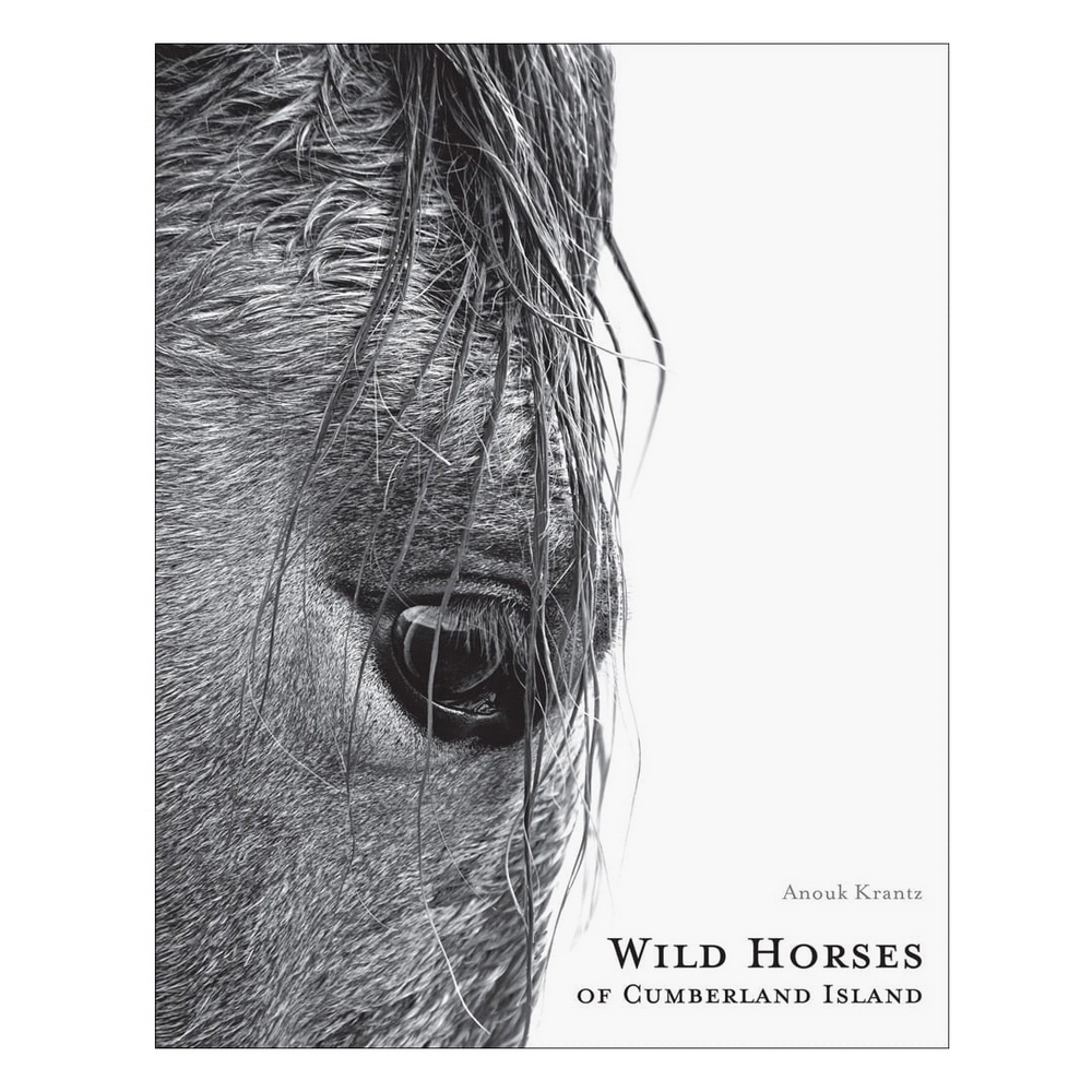 NATURALEZA - WILD HORSES OF CUMBERLAND ISLAND,AC1071,NEW MAGS