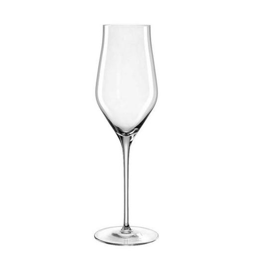 [1030100001] BRUNELLI - COPA CHAMPAGNE 066408, 066408, LEONARDO